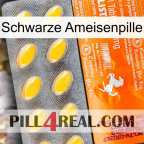 Black Ant Pill new05